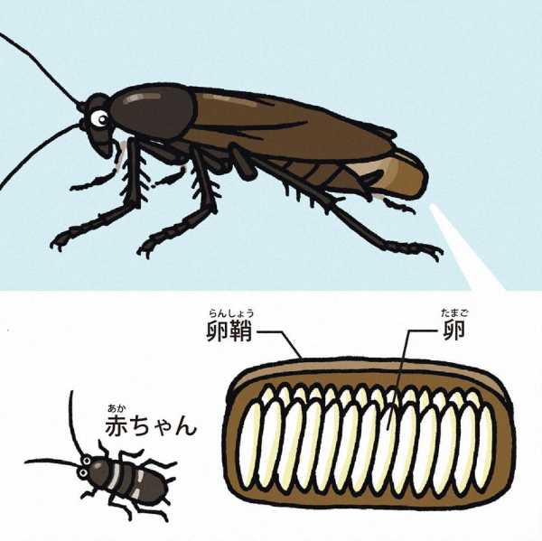 記事サムネイル