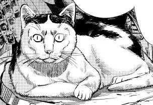 レス21番の画像1