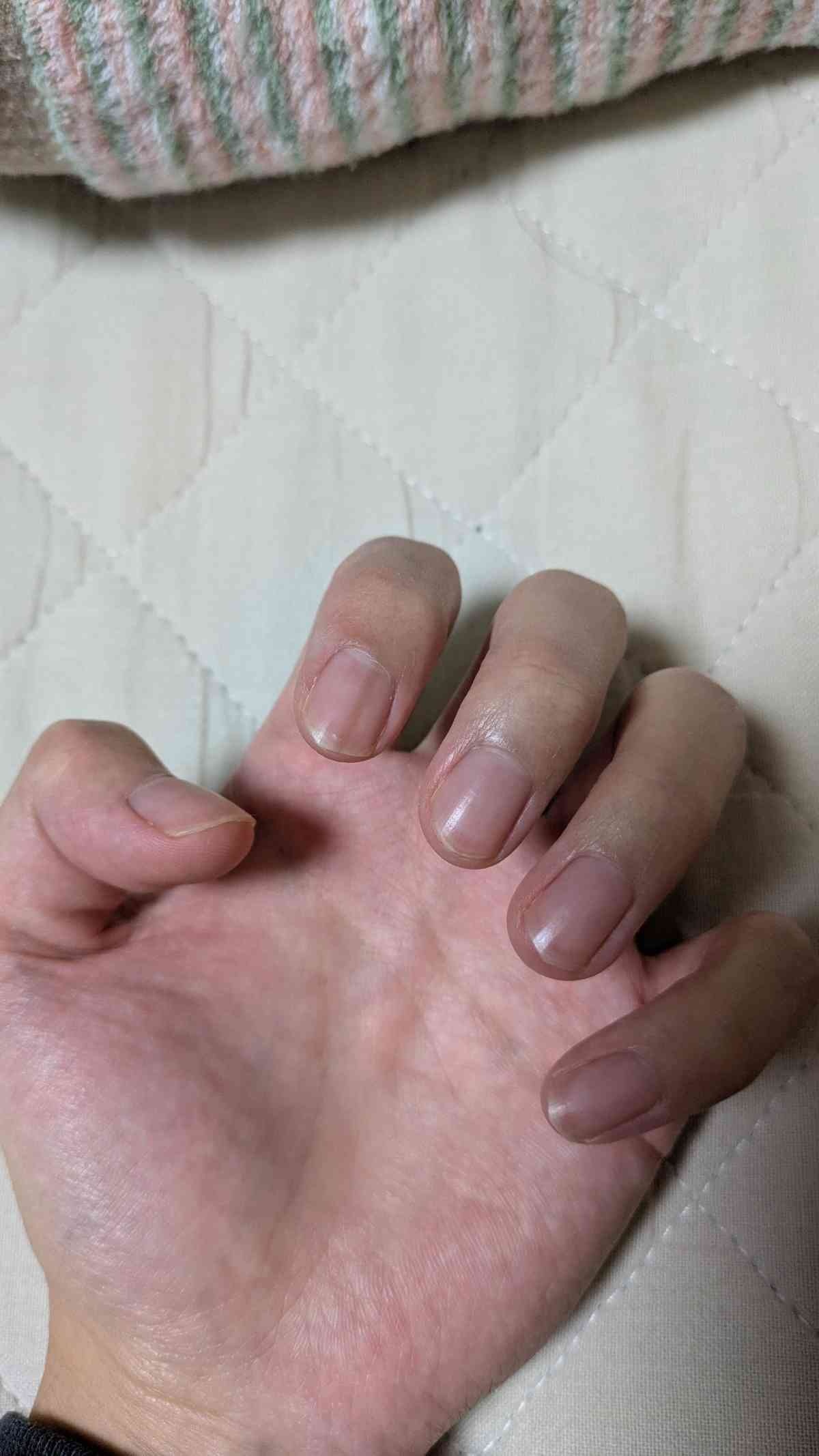 レス24番の画像1