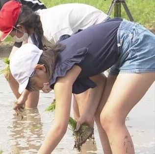 レス25番の画像2