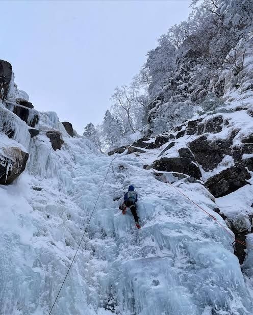 レス1番の画像5