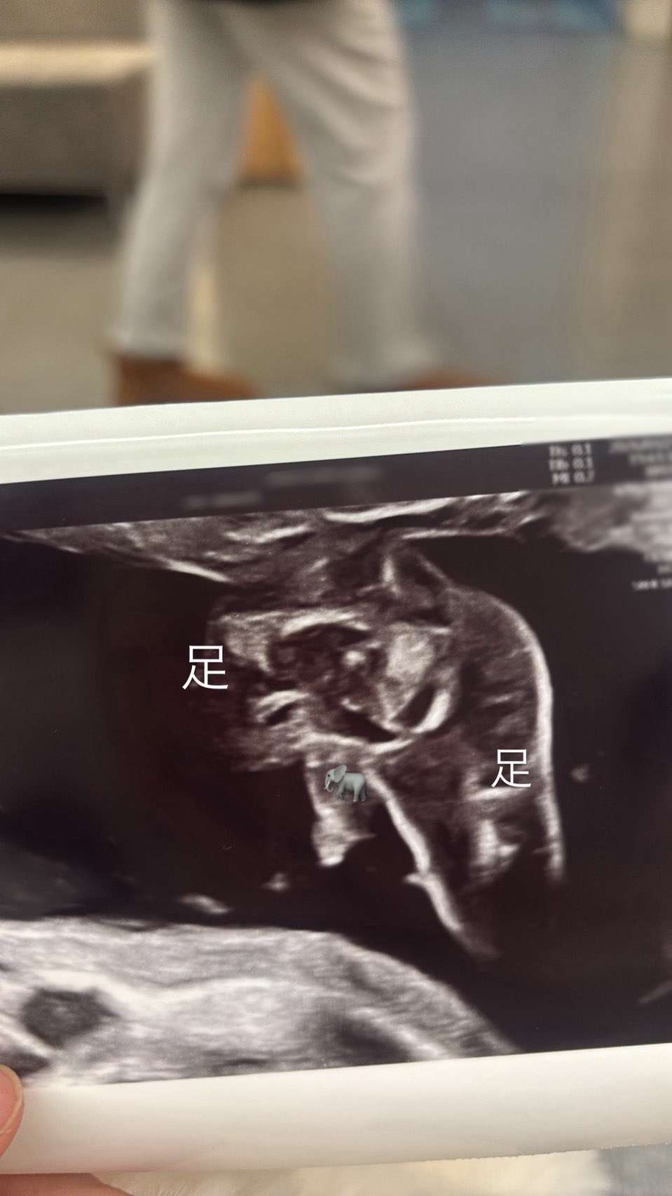 レス1番の画像3